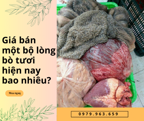 long-nguyen-bo