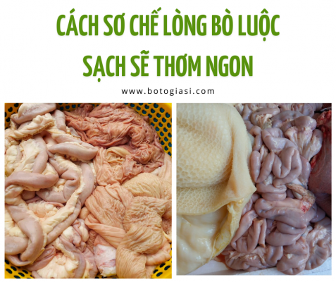 so-che-long-bo