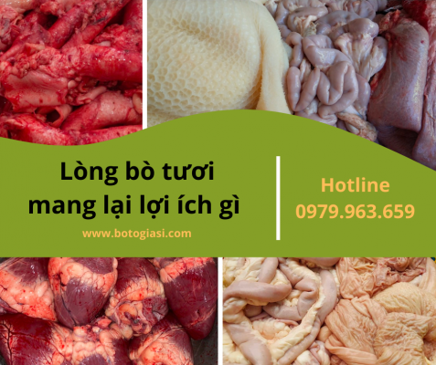 long-bo-tuoi