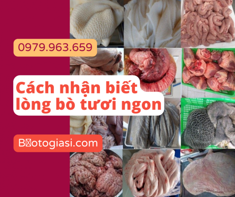 long-bo-tuoi