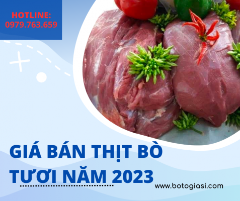 gia-thit-bo-tuoi