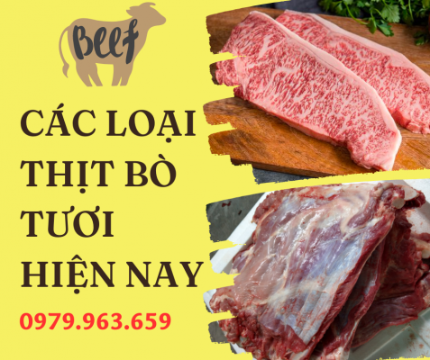thit-bo-tuoi