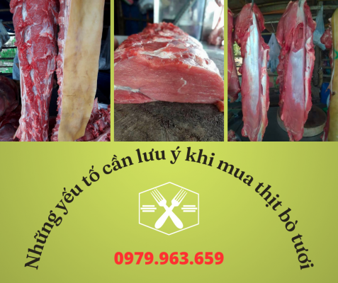 thit-bo-tuoi