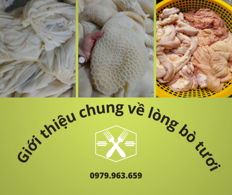 long-bo-nha-be