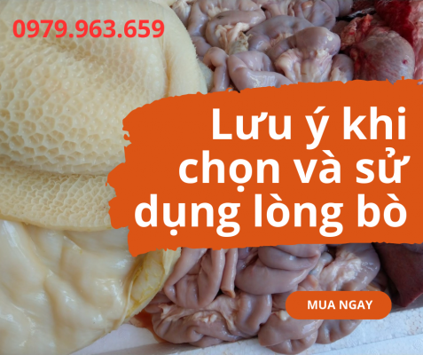 long-bo-nha-be