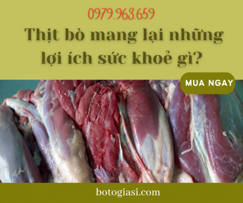 thit-bo-nau-mon-gi-ngon