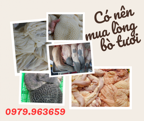 long-bo-tuoi