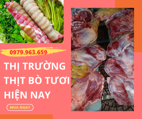 gia-thit-bo-tuoi