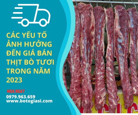 gia-thit-bo-tuoi