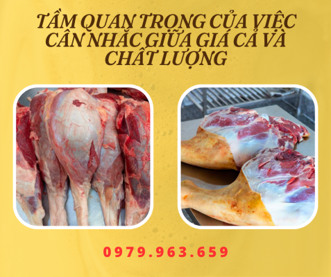 gia-thit-bo-tuoi