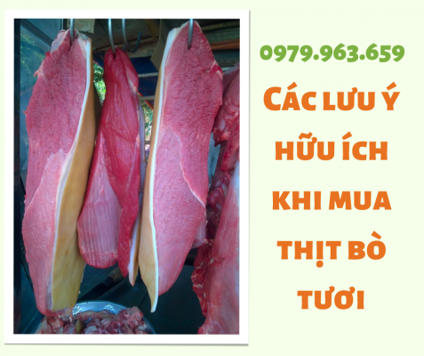 thit-bo-tuoi