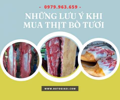 thit-bo-tuoi