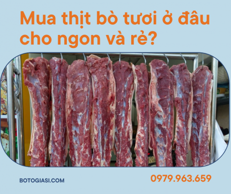 thit-bo-tuoi