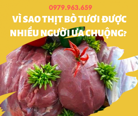 thit-bo-tuoi