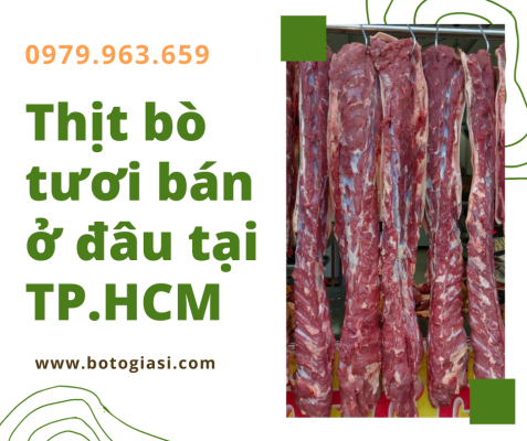 THIT-BO-TUOI