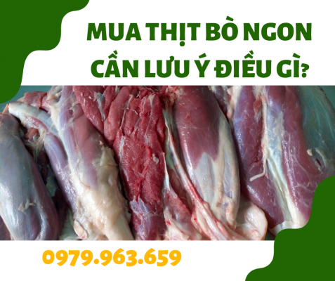 thit-bo-tuoi