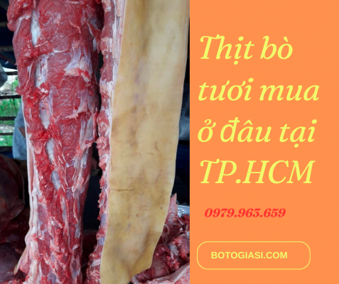 thit-bo-tuoi 